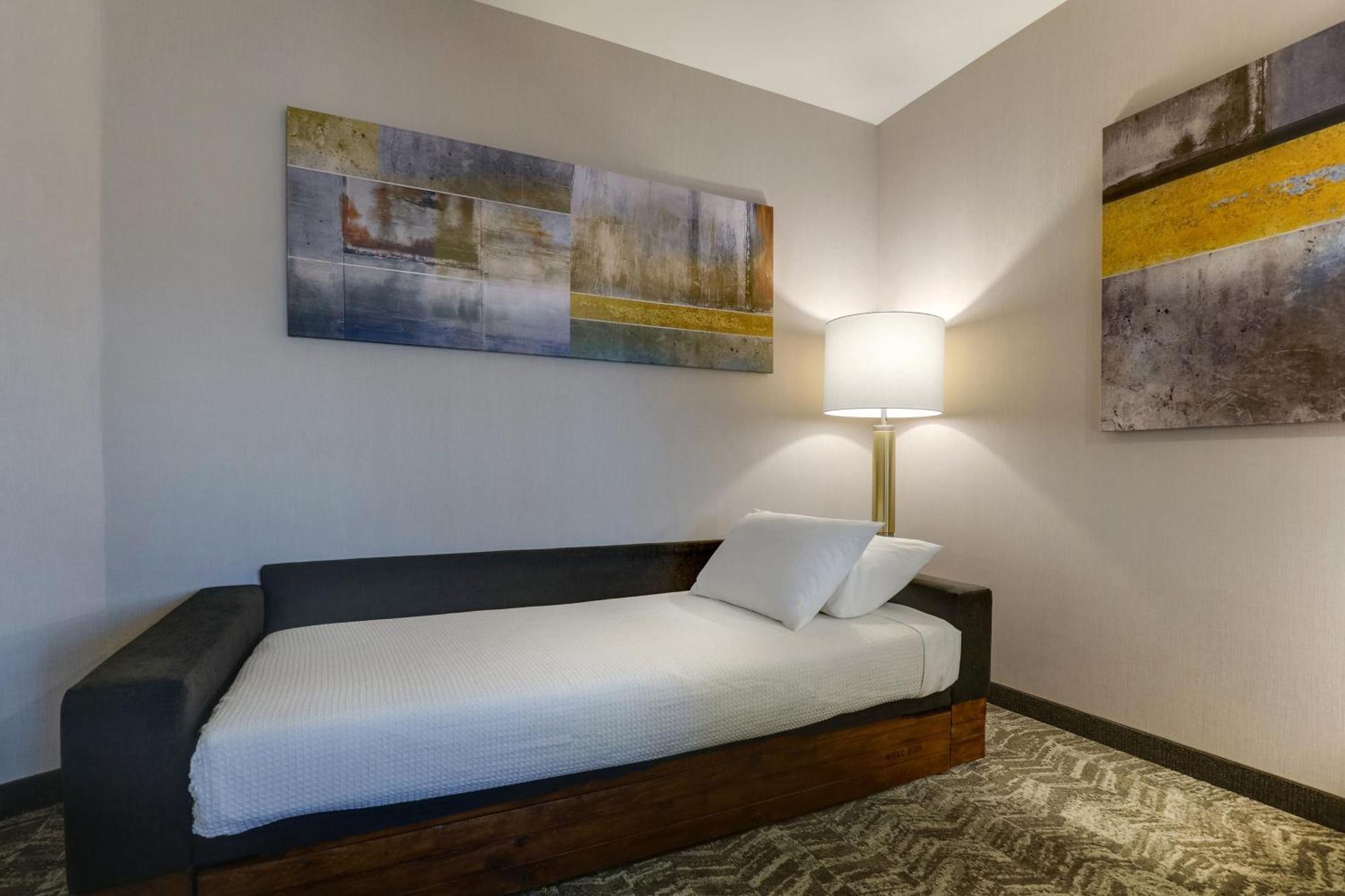 Springhill Suites By Marriott Cheraw Luaran gambar